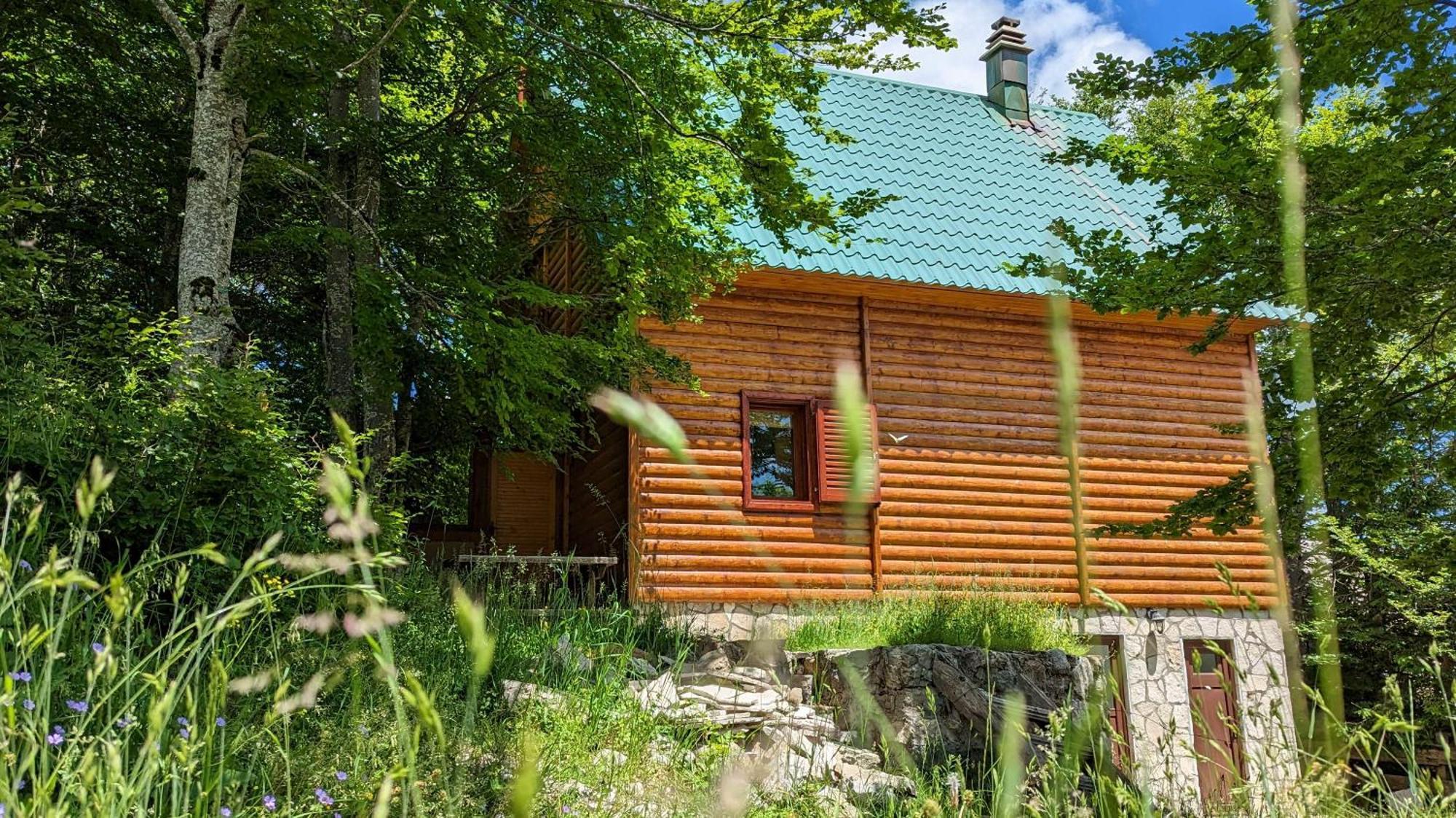 Apartments Nikcevic Zabljak Екстер'єр фото