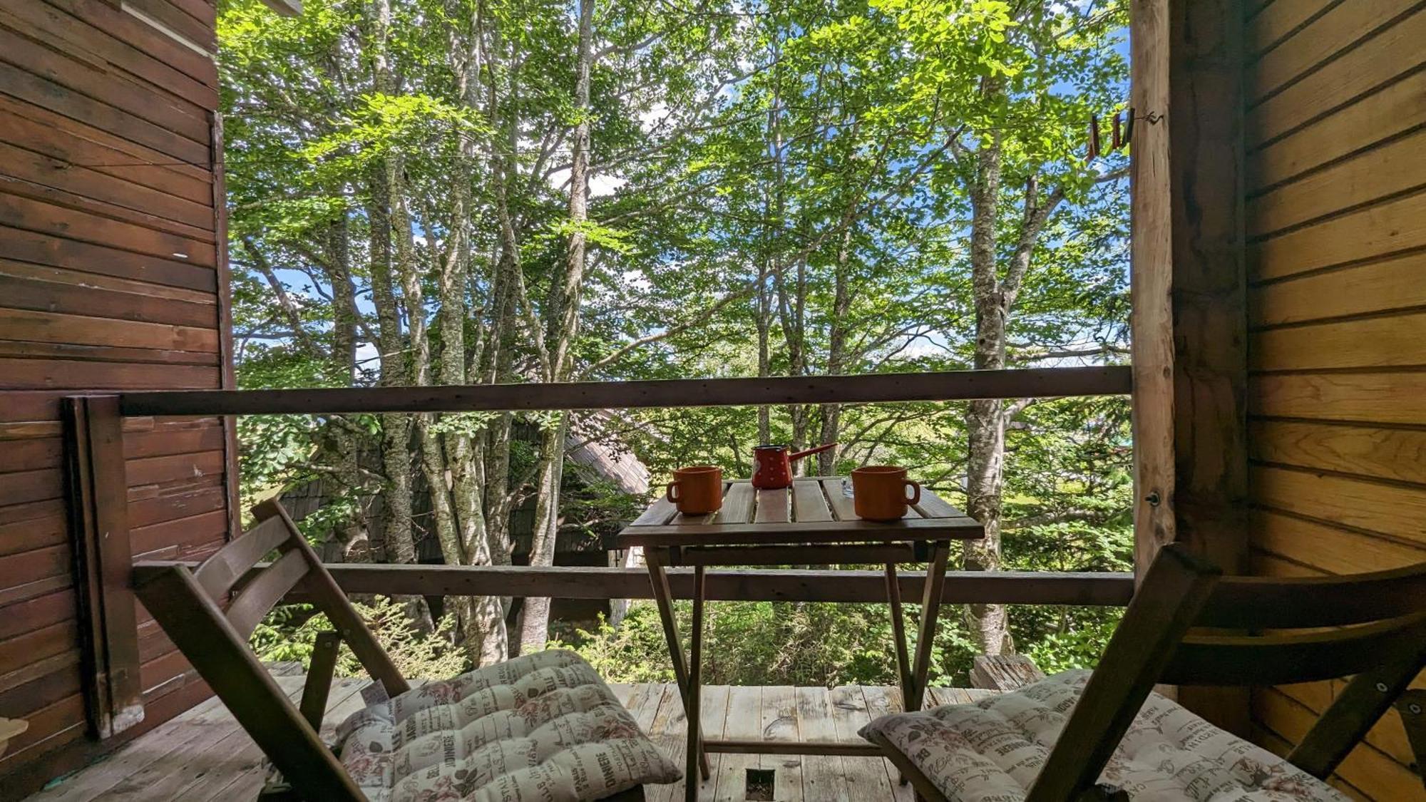 Apartments Nikcevic Zabljak Екстер'єр фото